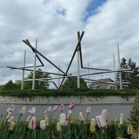 Muehlerain Leilighet Heitersheim Eksteriør bilde